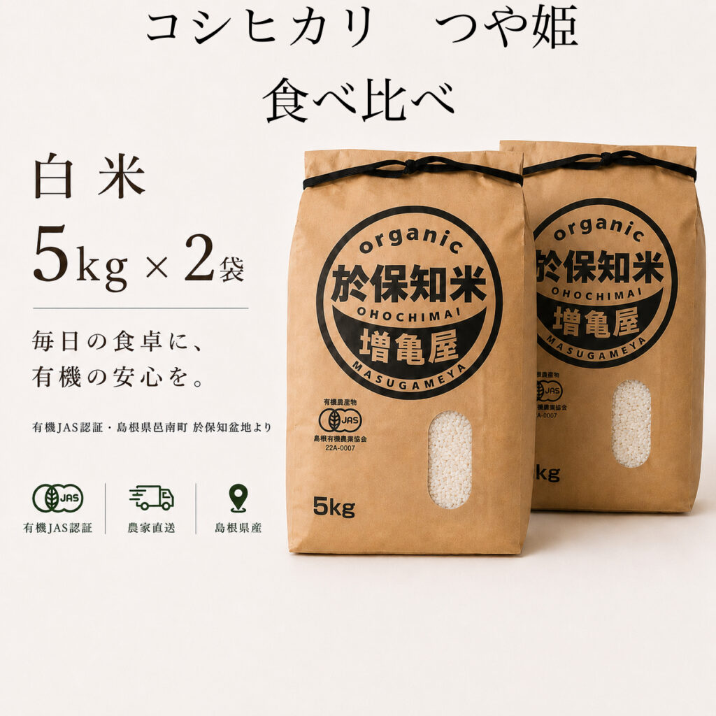 SET-W-10