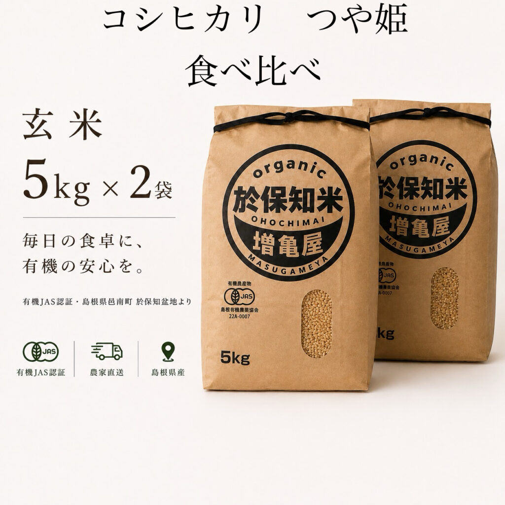 SET-B-10