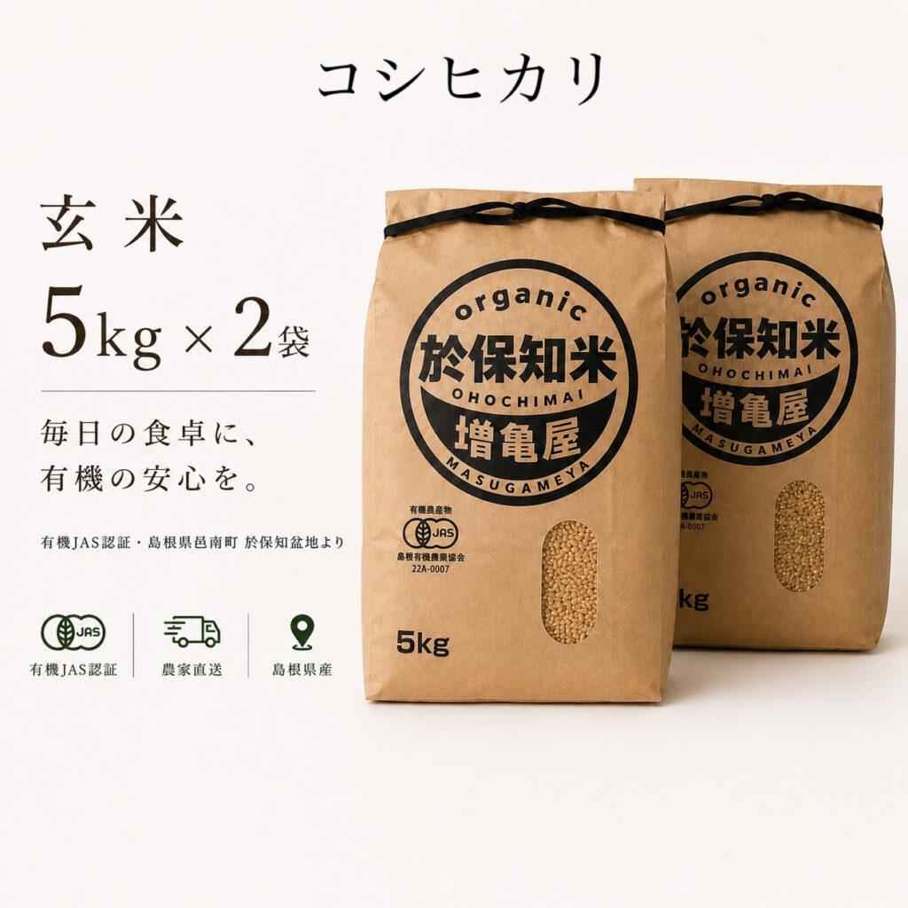 KOSHI-B-10